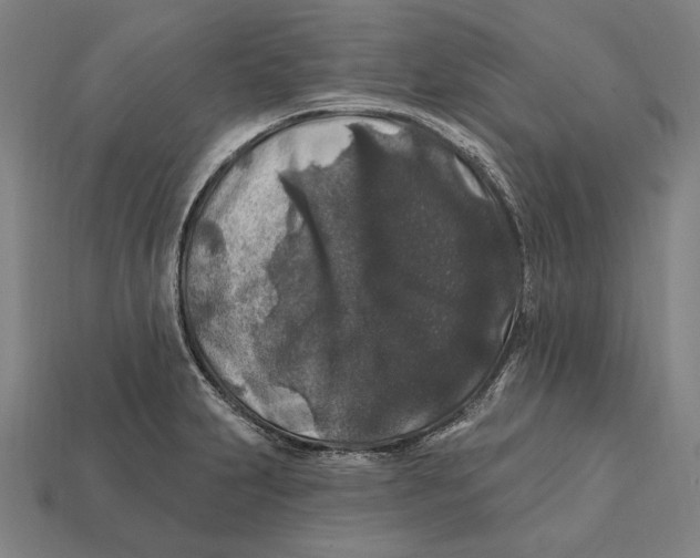 X0000112421231200909111003