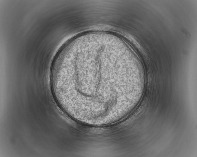 X0000112421232200909111003