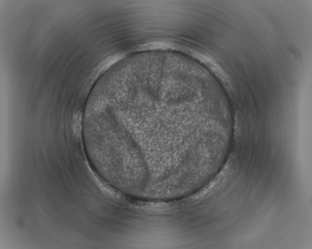 X0000112421233200909111003