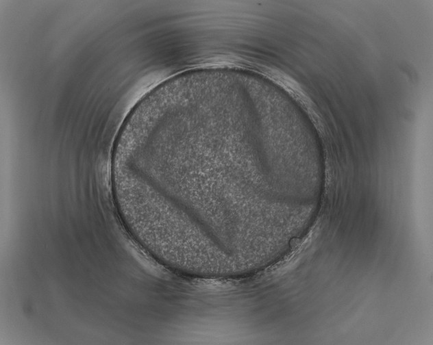 X0000112421234200909111003