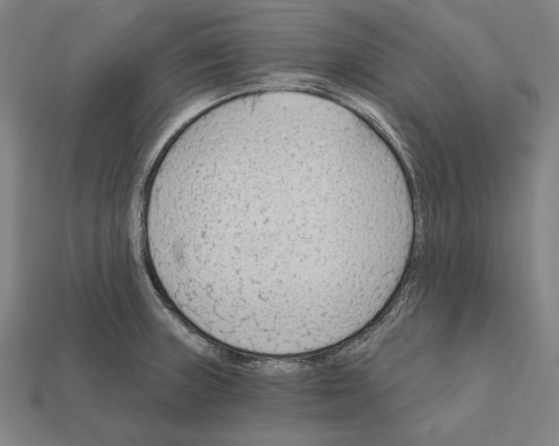 X0000112421235200909111004