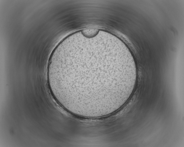 X0000112421236200909111004