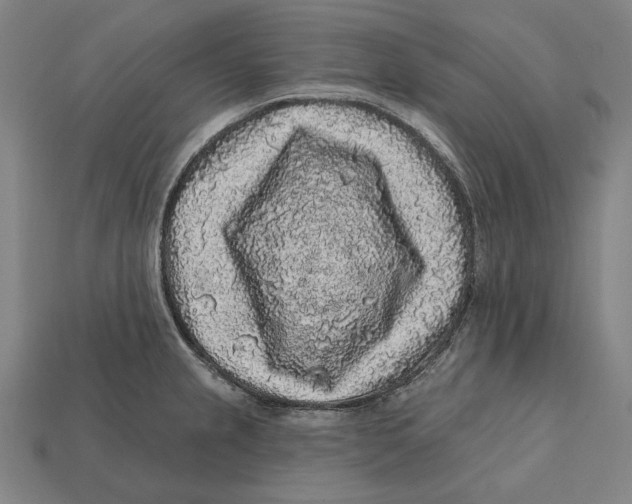 X0000112421237200909111004