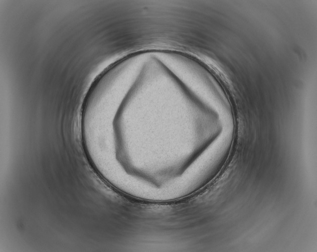 X0000112421238200909111004