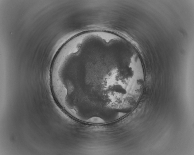 X0000112421239200909111004