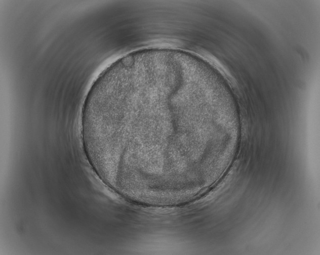 X0000112421240200909111004