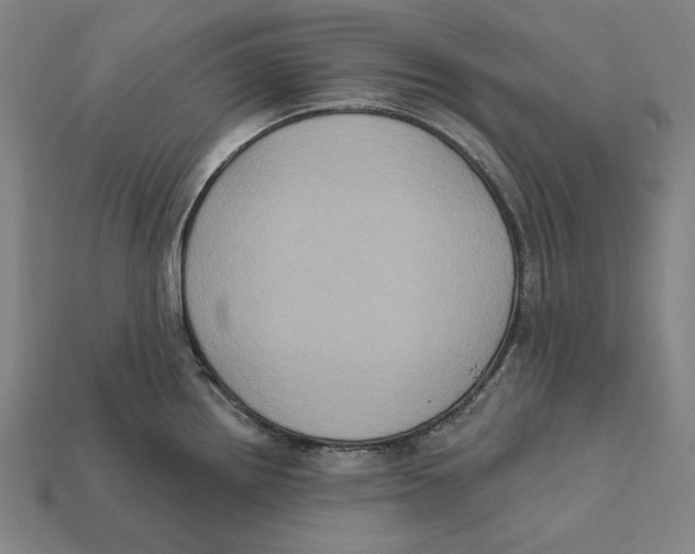 X0000112421242200909111004