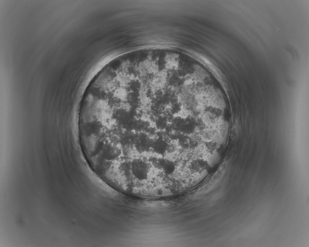 X0000112421243200909111004