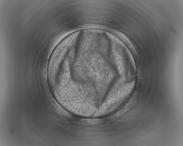 X0000112421244200909111004