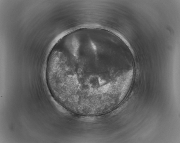 X0000112421245200909111004