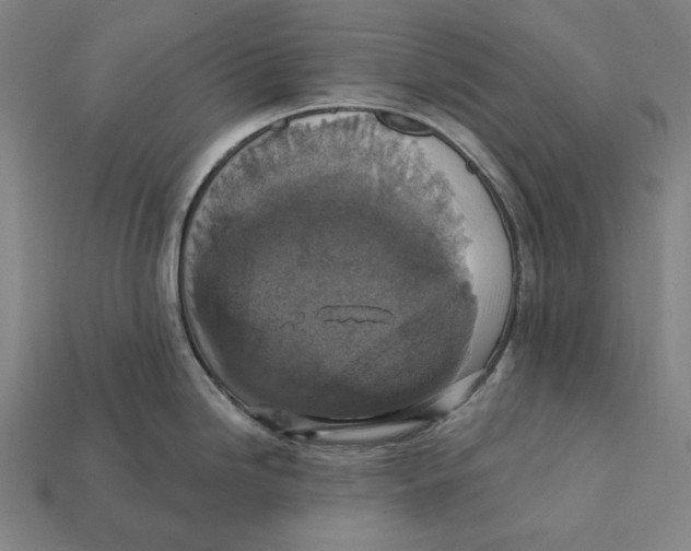 X0000112421246200909111004