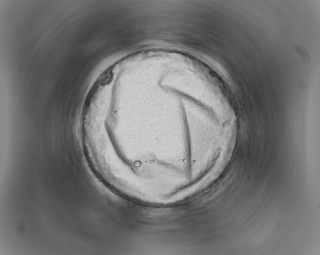 X0000112421247200909111004