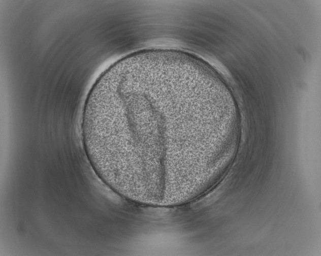 X0000112421248200909111004