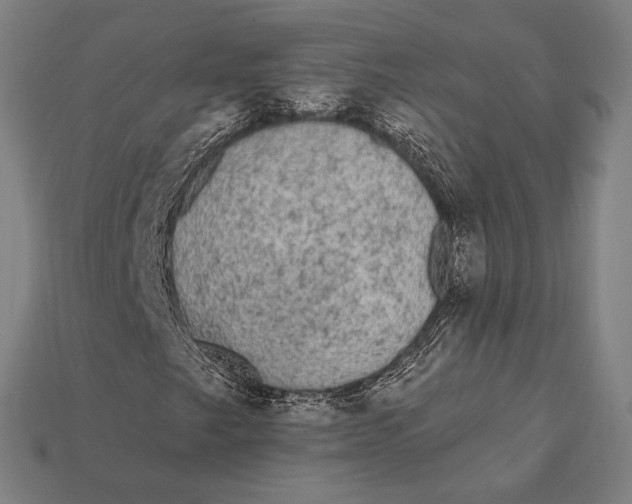 X0000112421249200909111003