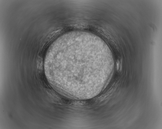 X0000112421251200909111003