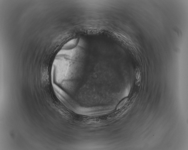 X0000112421252200909111003