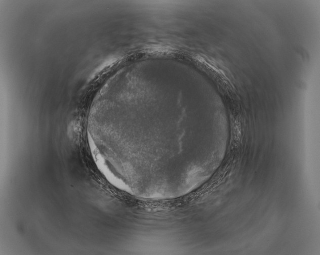 X0000112421254200909111003