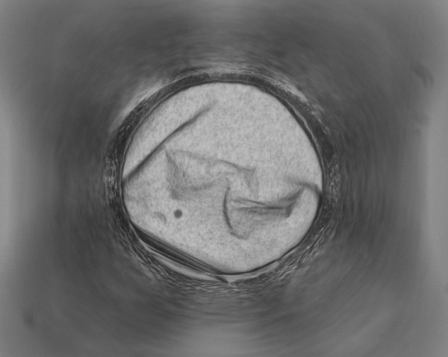 X0000112421255200909111003