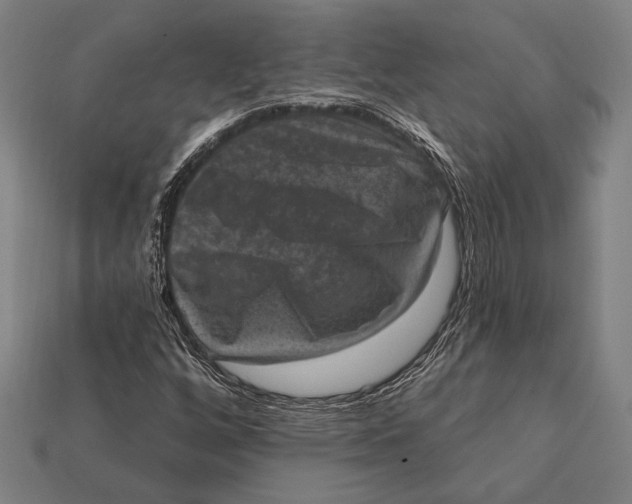 X0000112421256200909111003