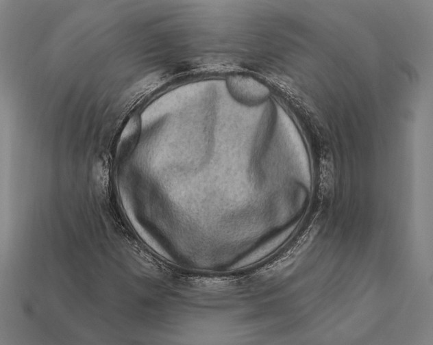 X0000112421257200909111003