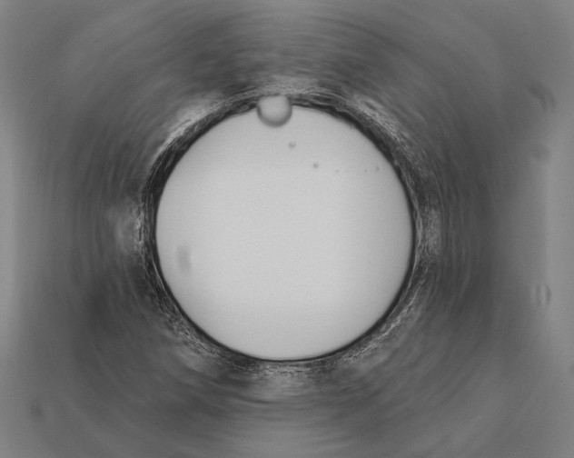 X0000112421258200909111003