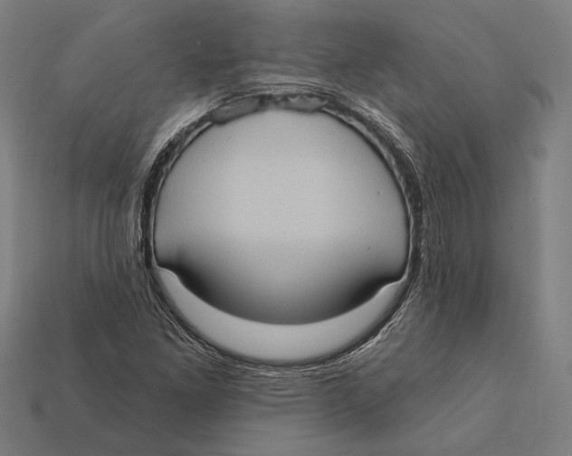 X0000112421261200909111003