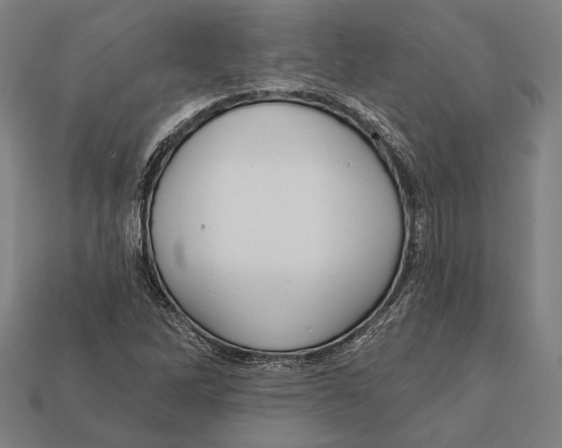 X0000112421262200909111003