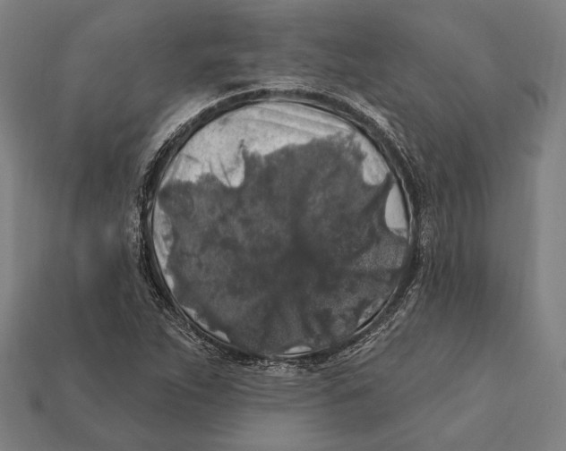 X0000112421263200909111003