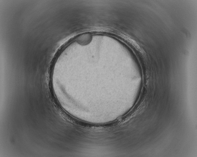 X0000112421264200909111003