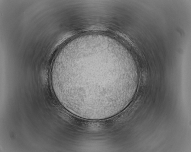 X0000112421266200909111003