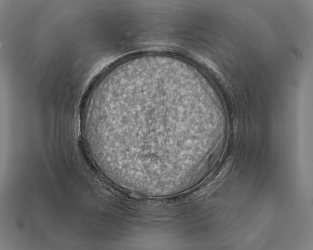 X0000112421267200909111003