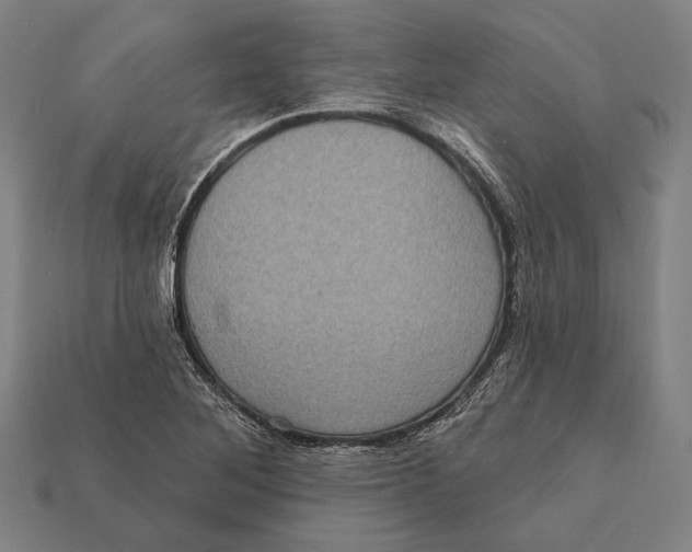 X0000112421268200909111003