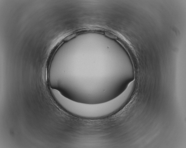 X0000112421269200909111003