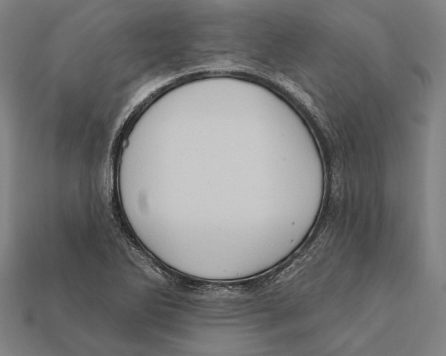 X0000112421270200909111003