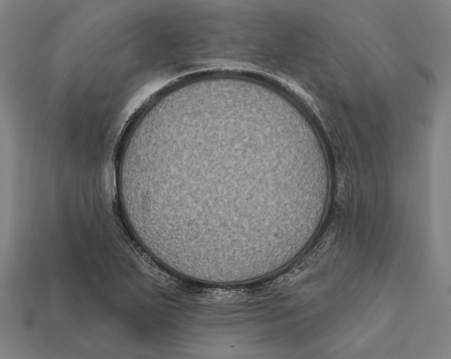 X0000112421271200909111003