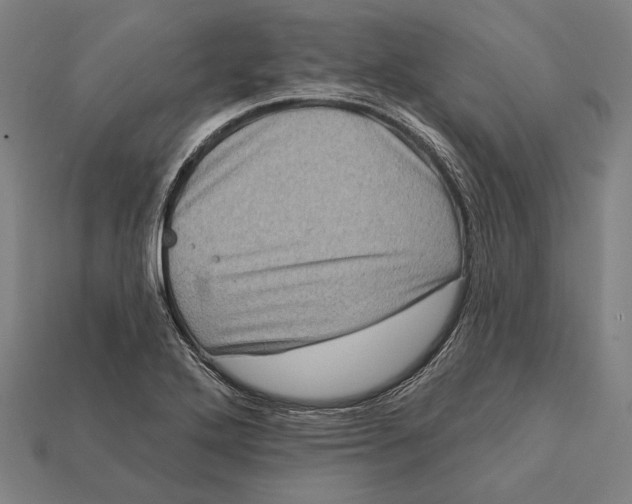 X0000112421272200909111003