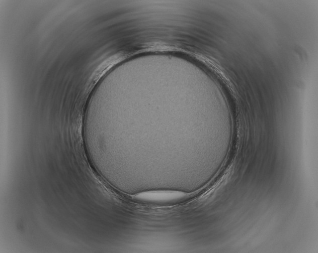 X0000112421273200909111003