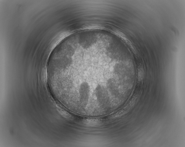 X0000112421274200909111003