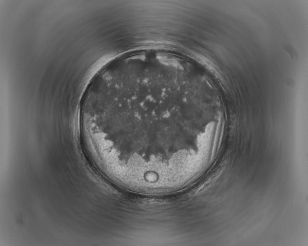 X0000112421275200909111003