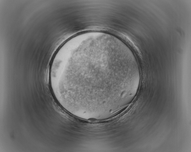 X0000112421276200909111003