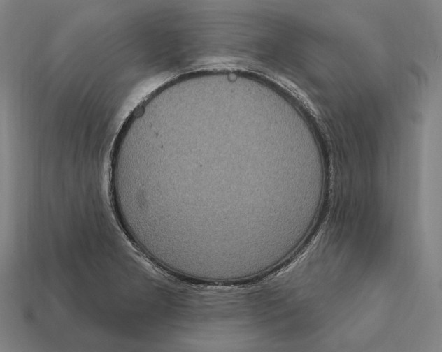 X0000112421277200909111003