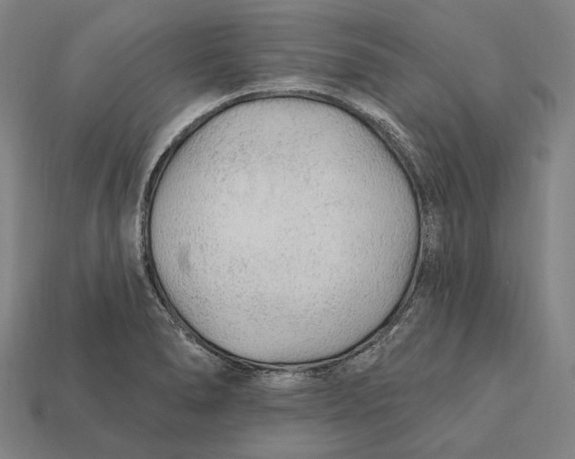 X0000112421278200909111003