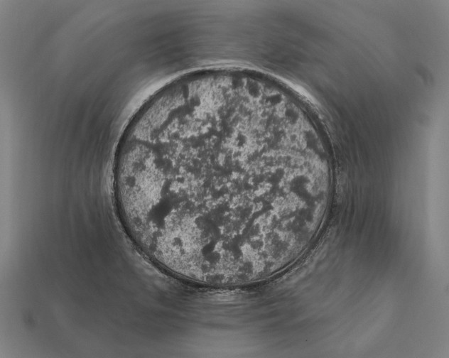 X0000112421279200909111003