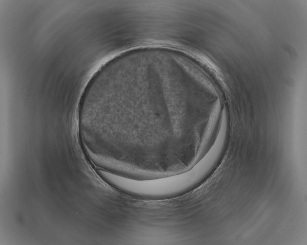 X0000112421280200909111003