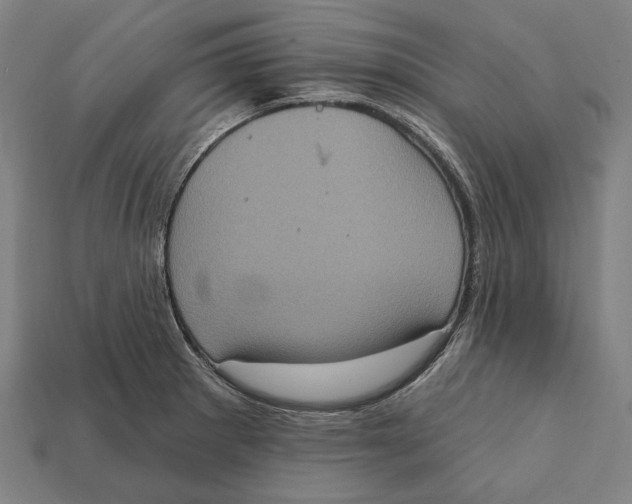 X0000112421281200909111003