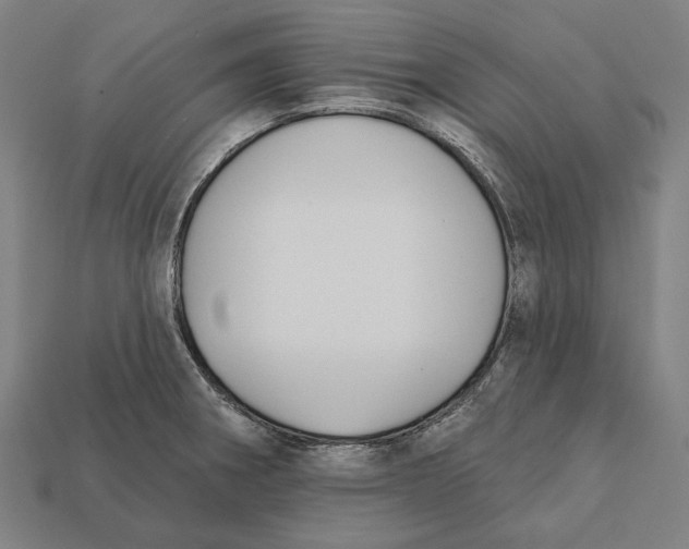 X0000112421282200909111003