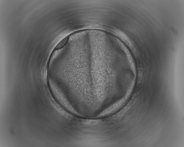 X0000112421284200909111003