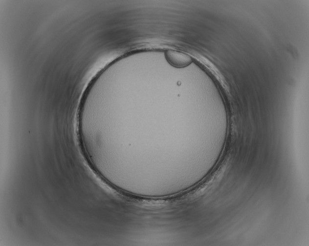 X0000112421285200909111003