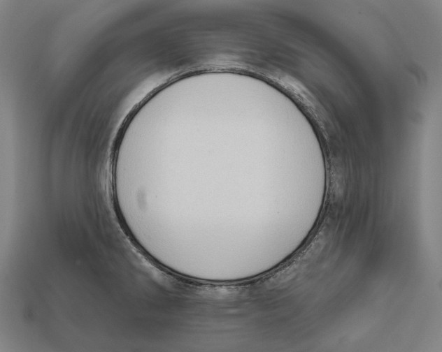 X0000112421286200909111003