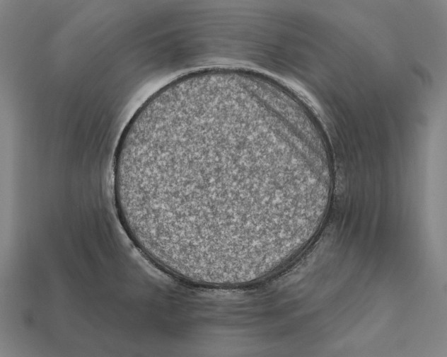 X0000112421287200909111003